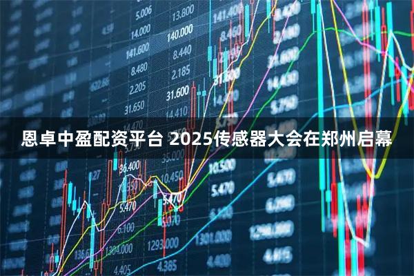 恩卓中盈配资平台 2025传感器大会在郑州启幕